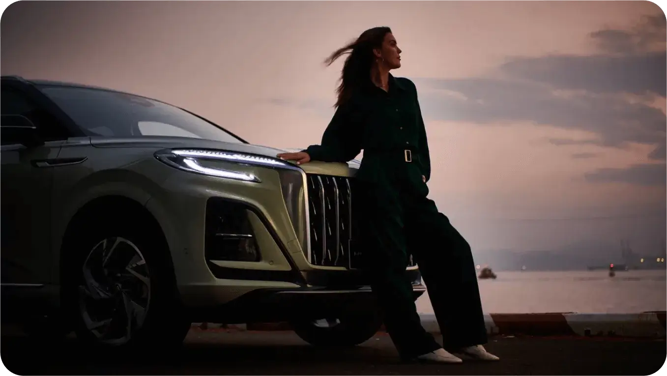 HONGQI в соцсетях